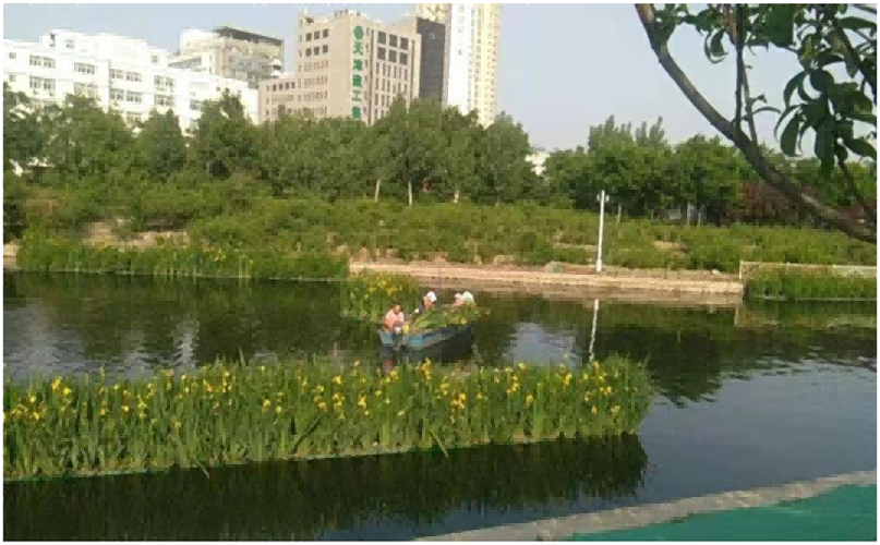 ��·����